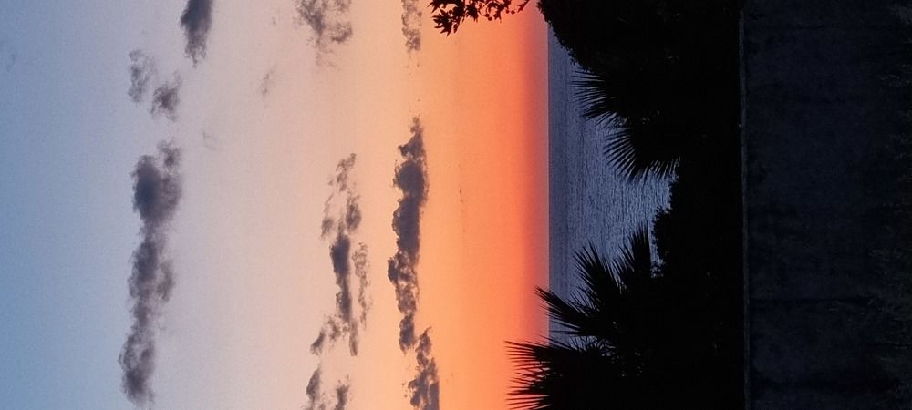 Photograph by jane nielsen