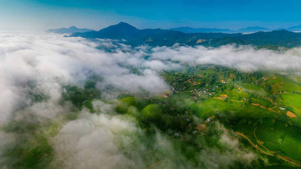 Photograph by Ngoc Minh Nguyen The