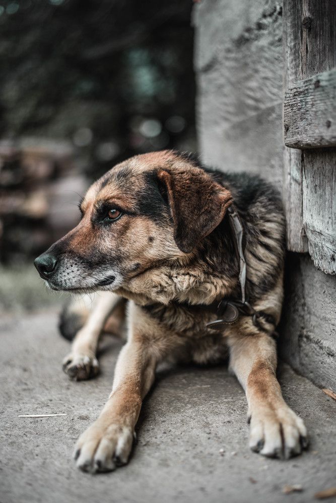 Photograph by Вячеслав Закревський