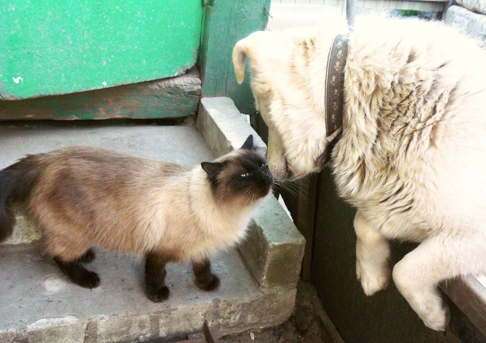 Photograph by леонид натапов