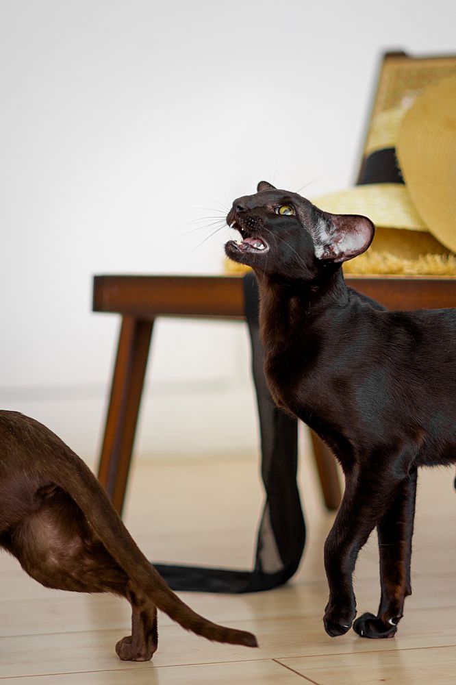 Photograph by Валерия Трушина