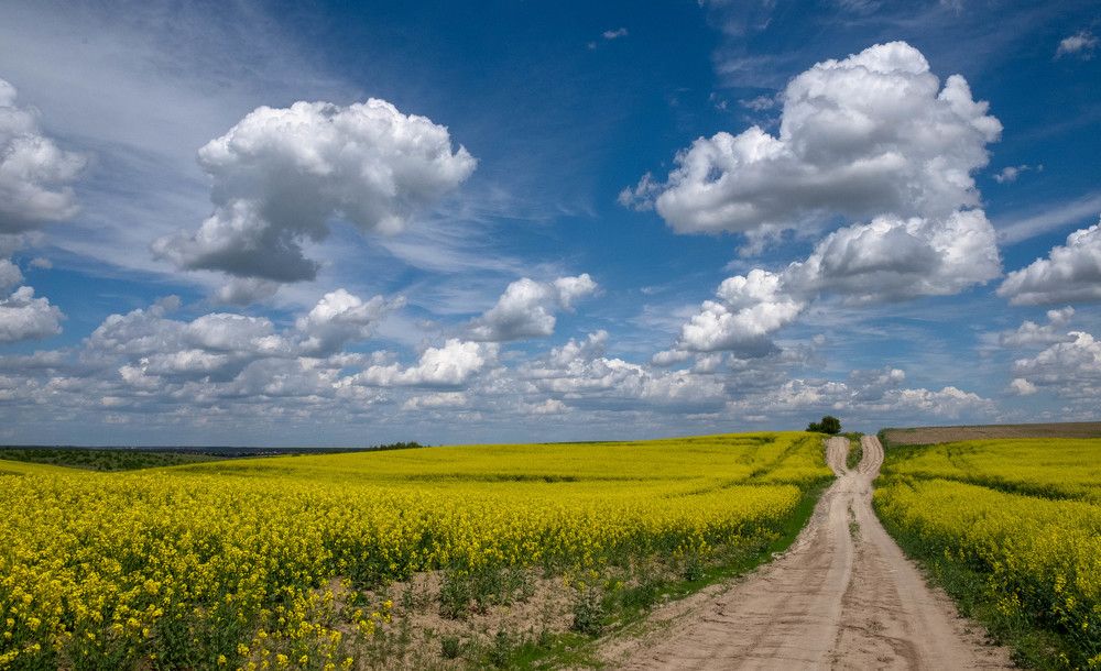 Photograph by Юрий Петруняк