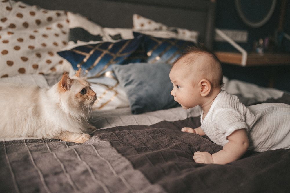 Photograph by Грауле Юлия