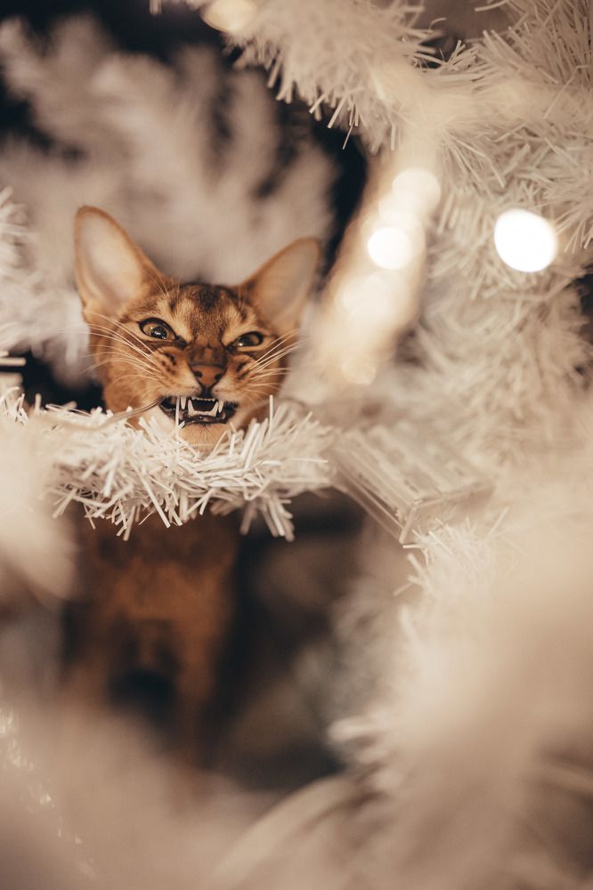 Photograph by Грауле Юлия