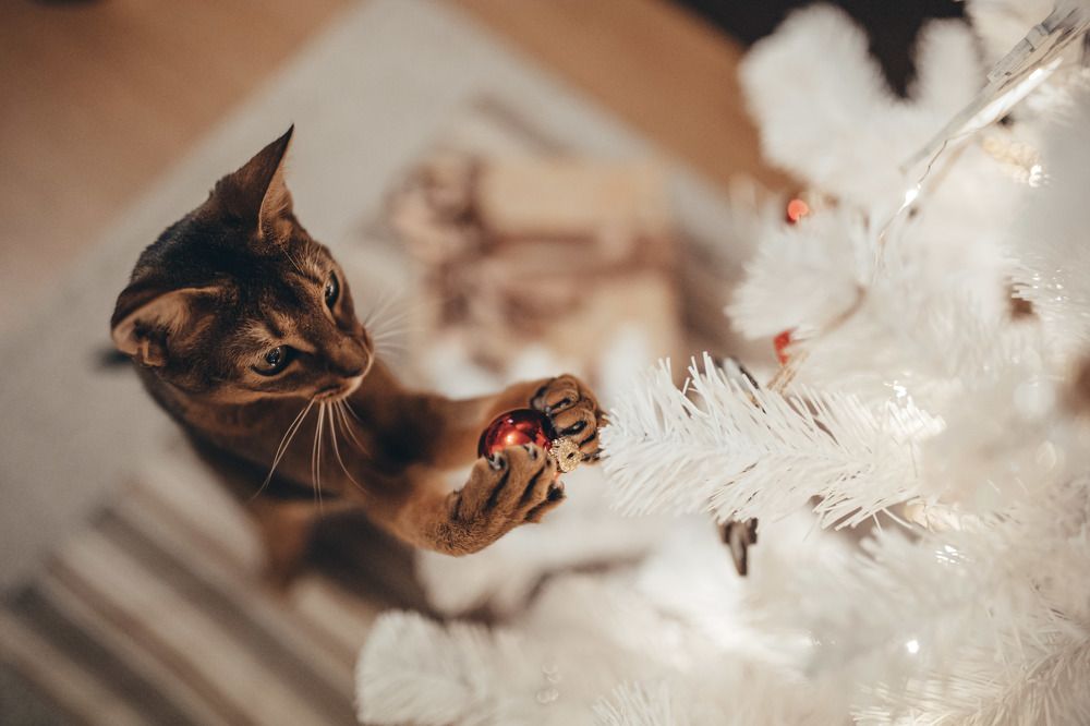 Photograph by Грауле Юлия