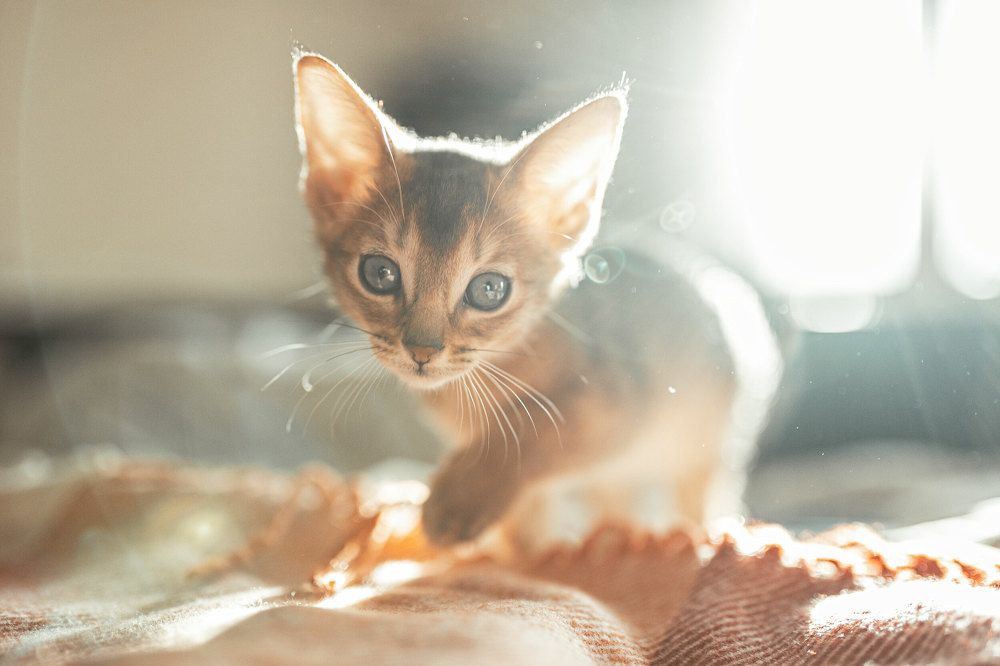 Photograph by Грауле Юлия