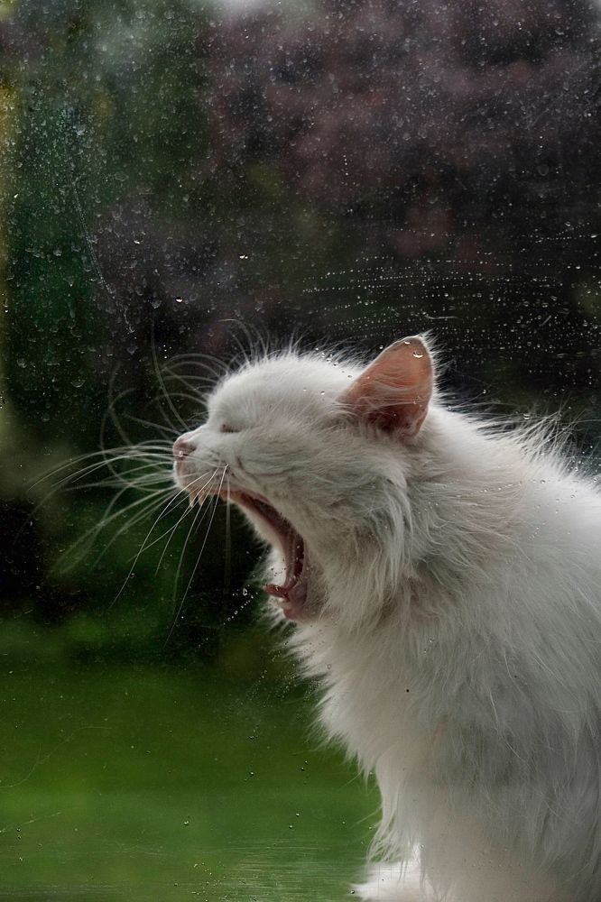 Photograph by Елена Дроздова