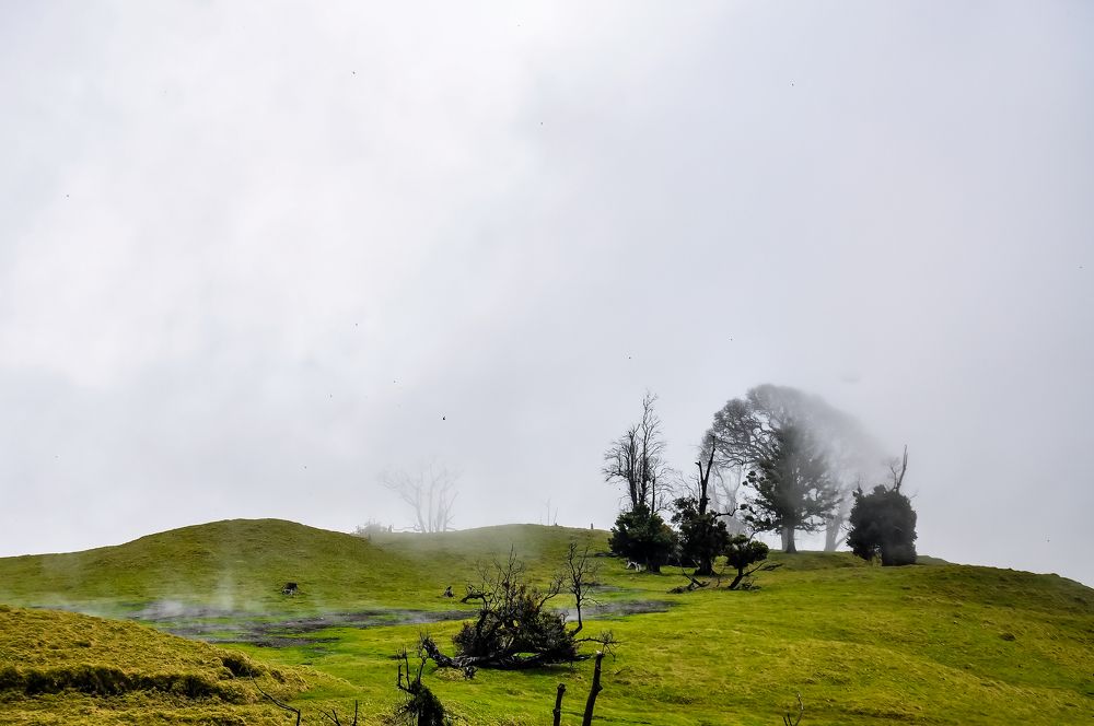 Photograph by Andres Alvarado