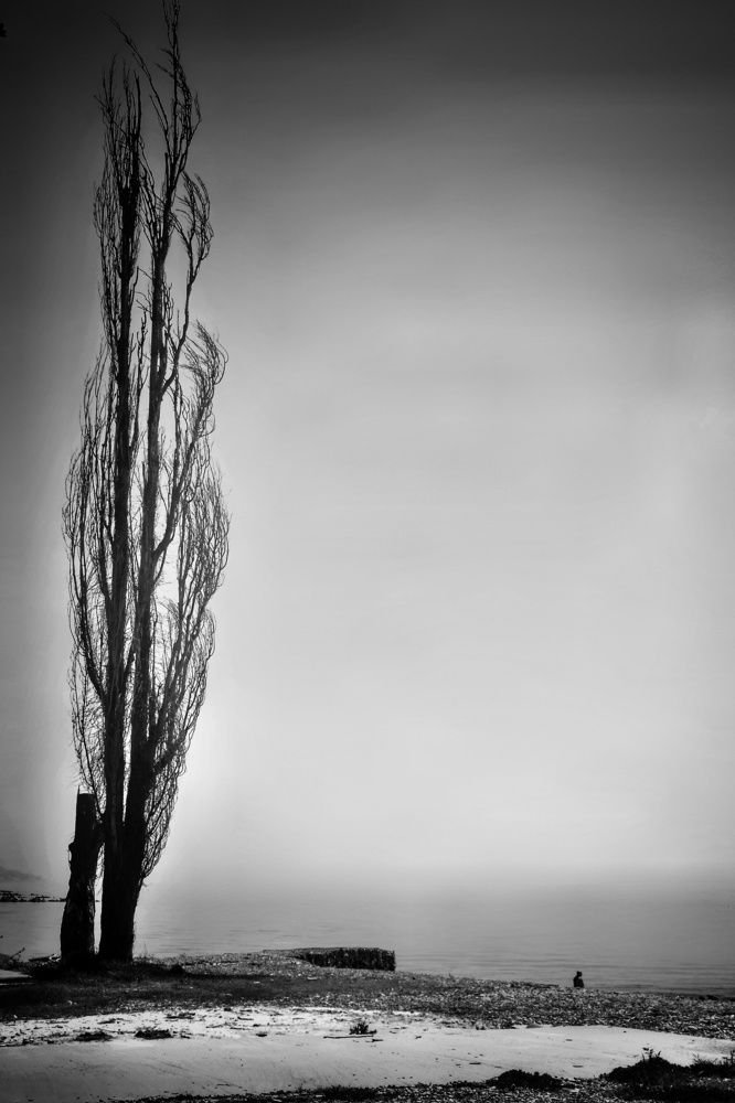 Меланхолия.