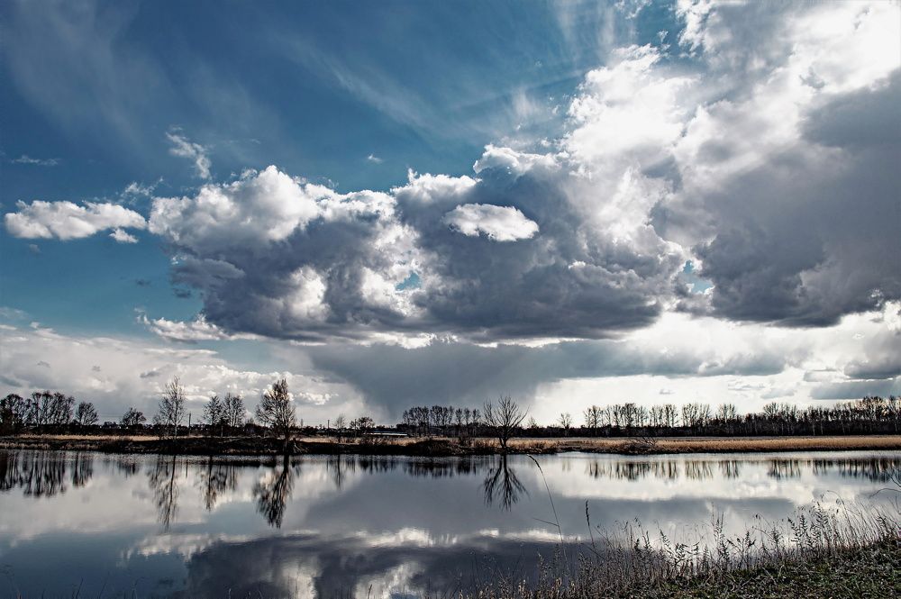 Весеннее настроение.