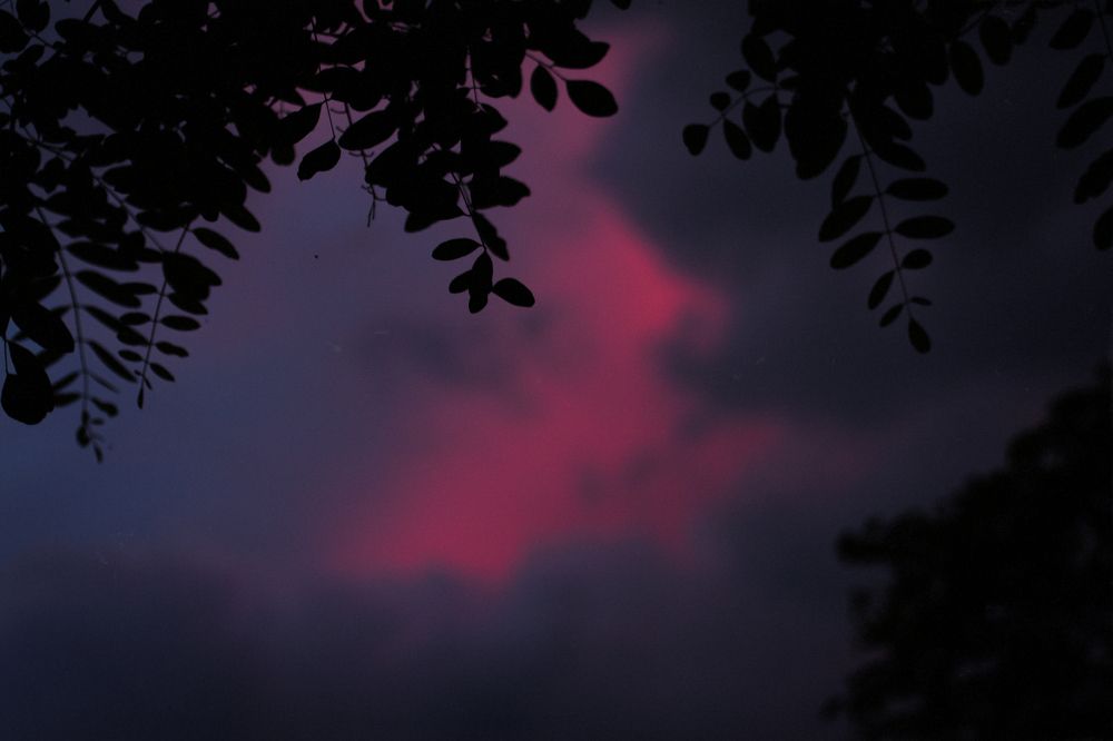 Photograph by Анна-Романа