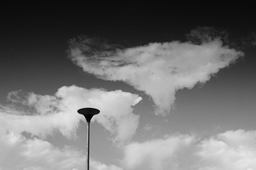 Photograph by Анна-Романа
