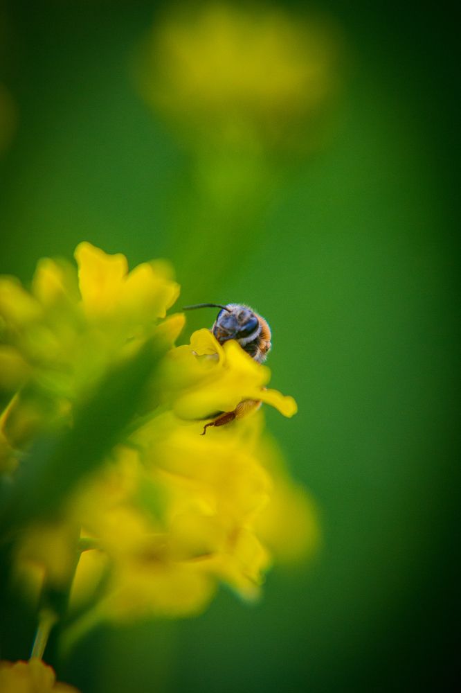 Photograph by Дарья Пузырёва