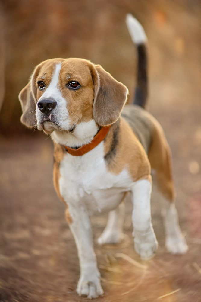 Photograph by Наталия Шляпина