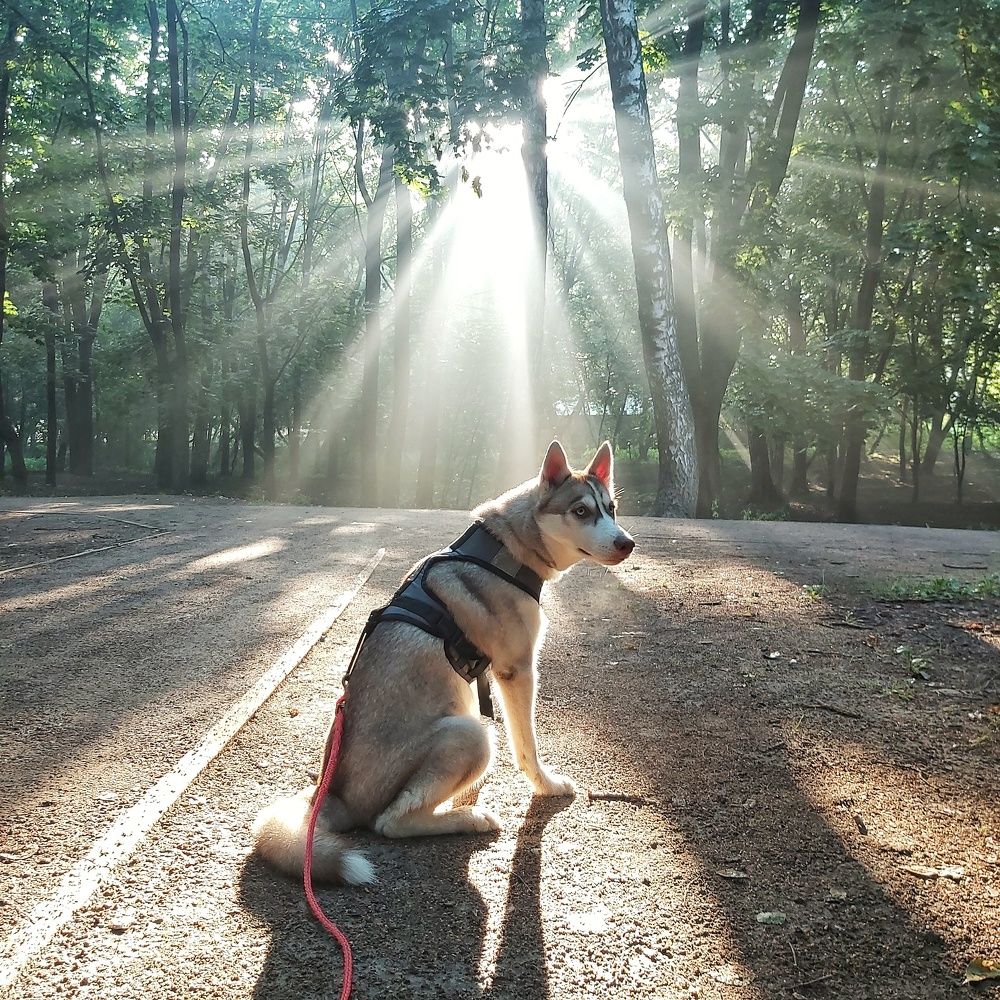 Photograph by Наталья Баранова