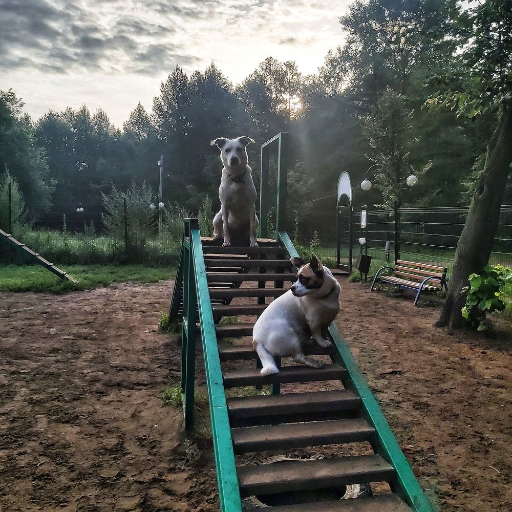 Photograph by Наталья Баранова