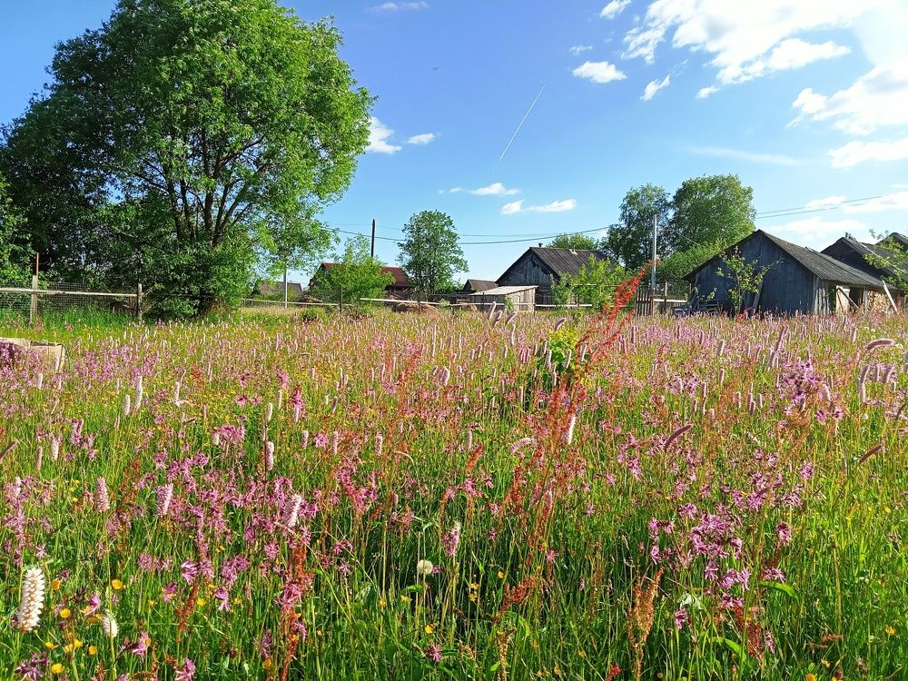 Photograph by Валентина Смирнова
