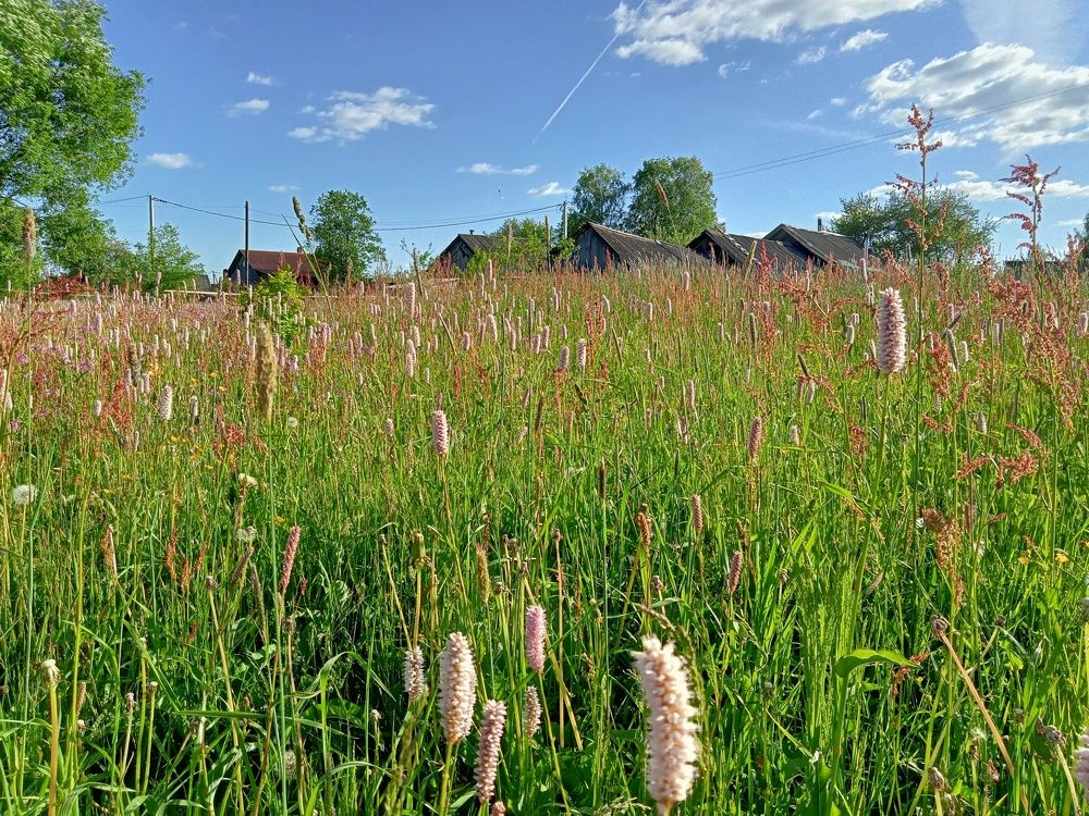 Photograph by Валентина Смирнова