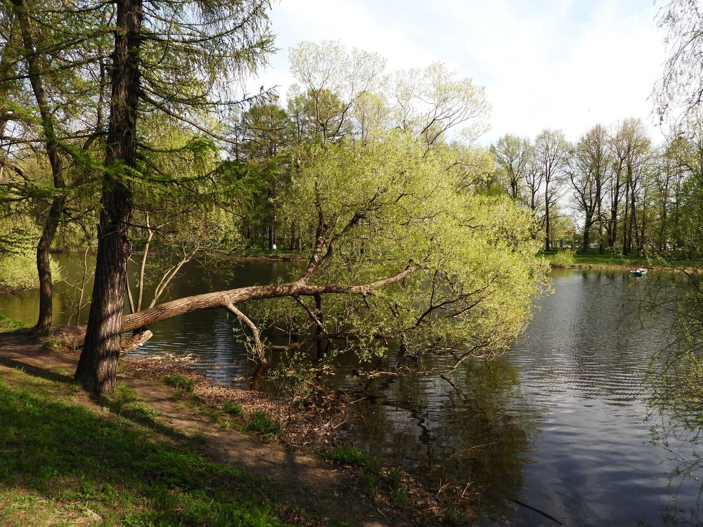 Photograph by Алексей Полянский