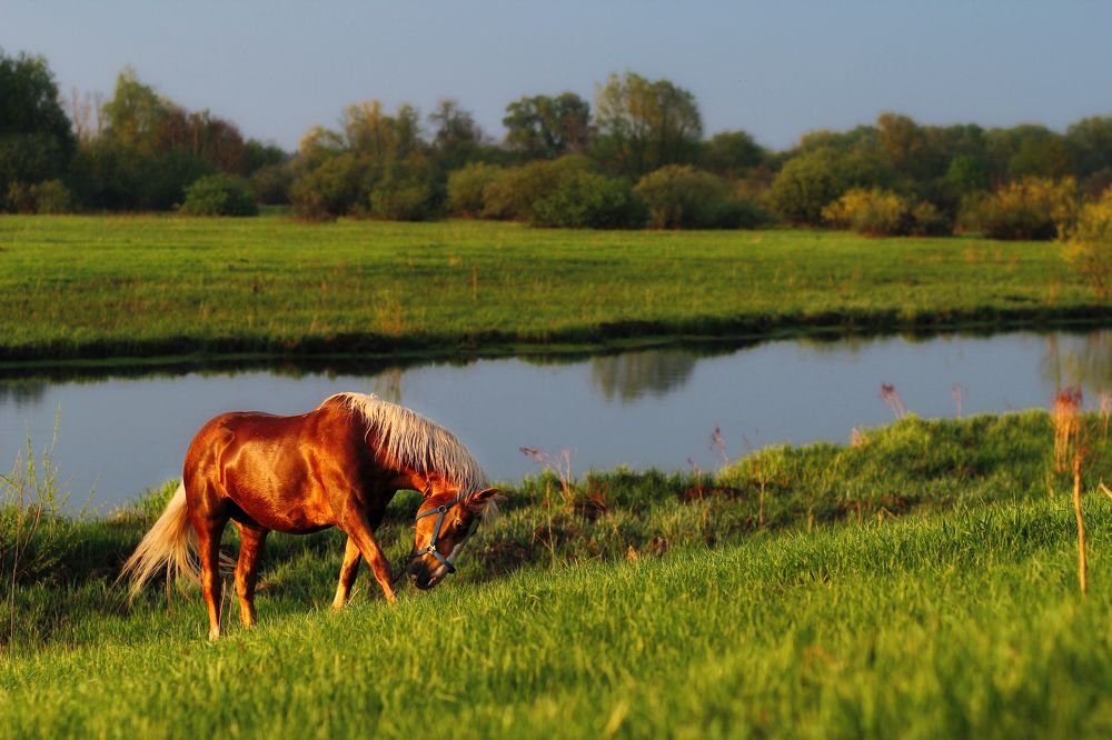 Photograph by Галина Щурова