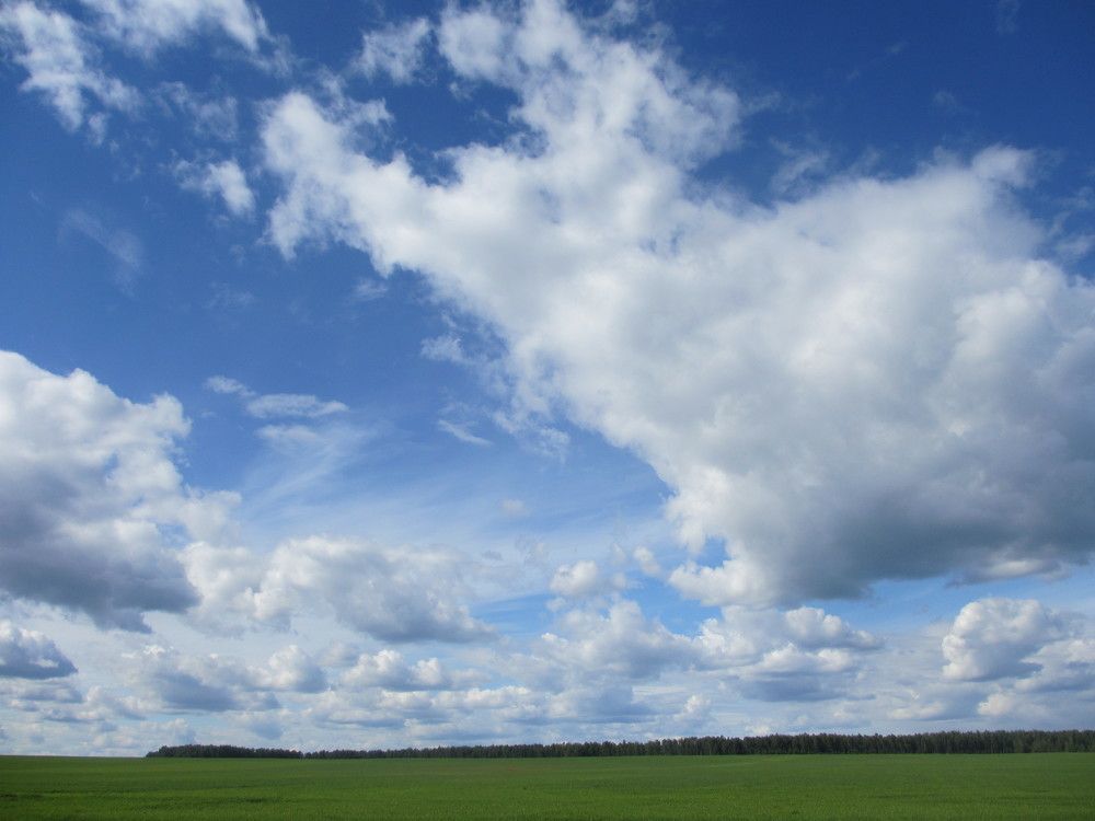 Photo #6154107