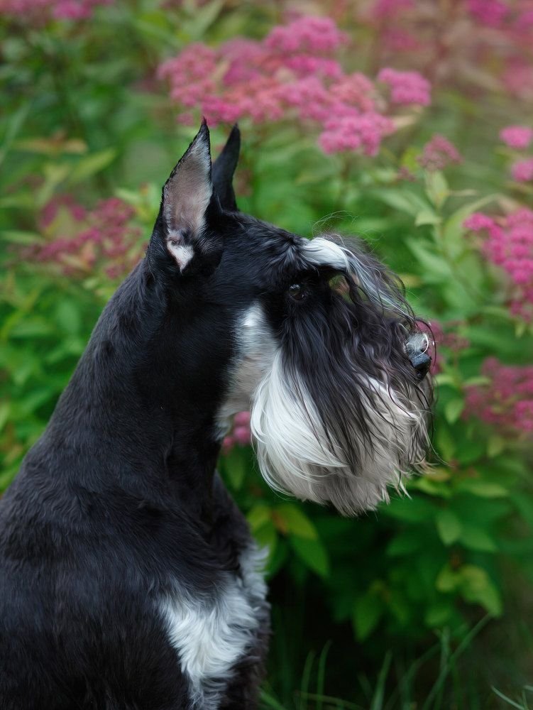 Photograph by Галина Щурова