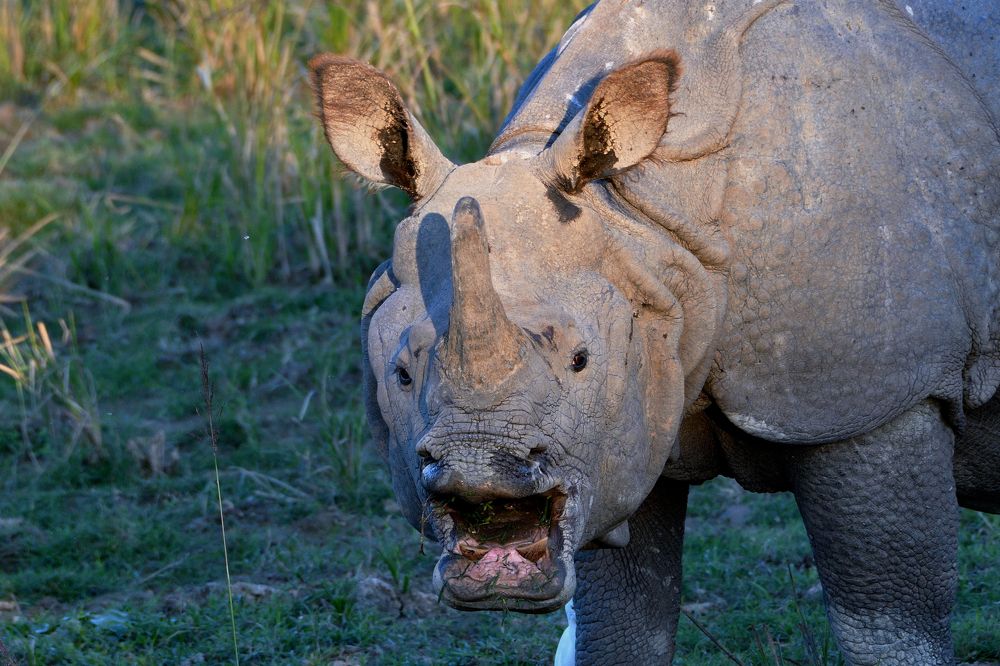 Photograph by Tanvir Ahmed