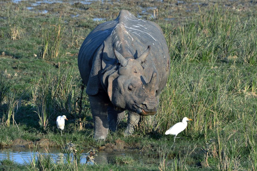 Photograph by Tanvir Ahmed