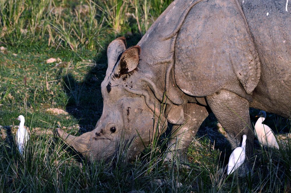 Photograph by Tanvir Ahmed
