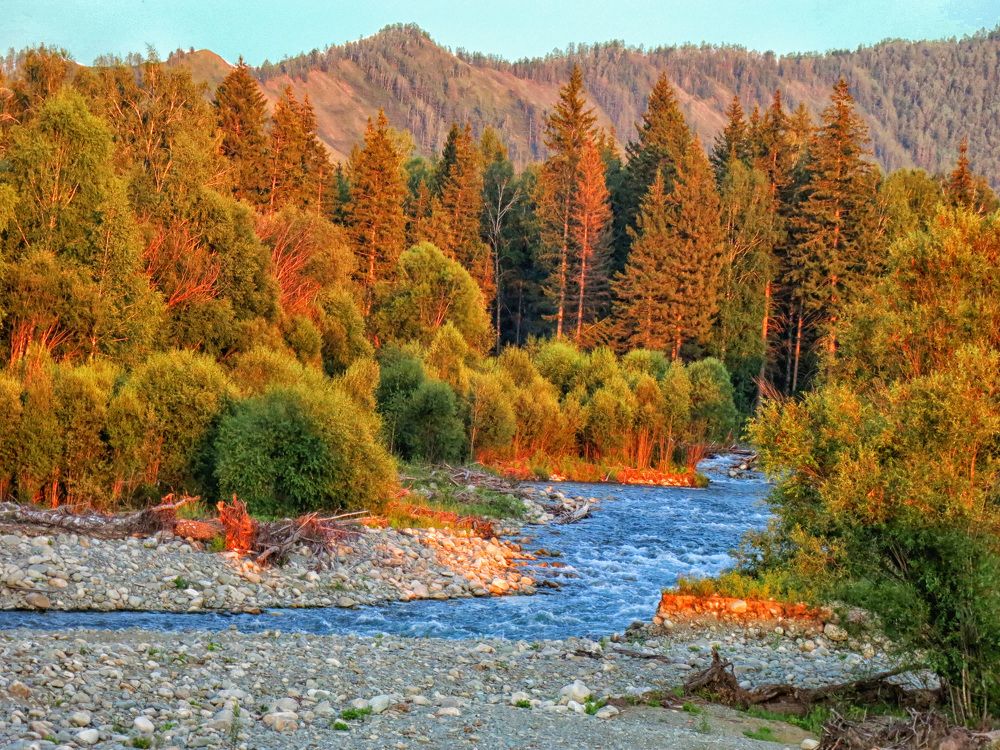 Photograph by София Гавриловна Вотякова