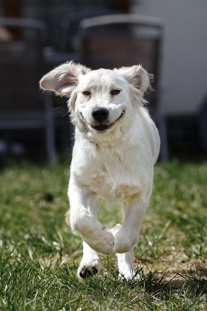 Фотография автора Павел Чумаков