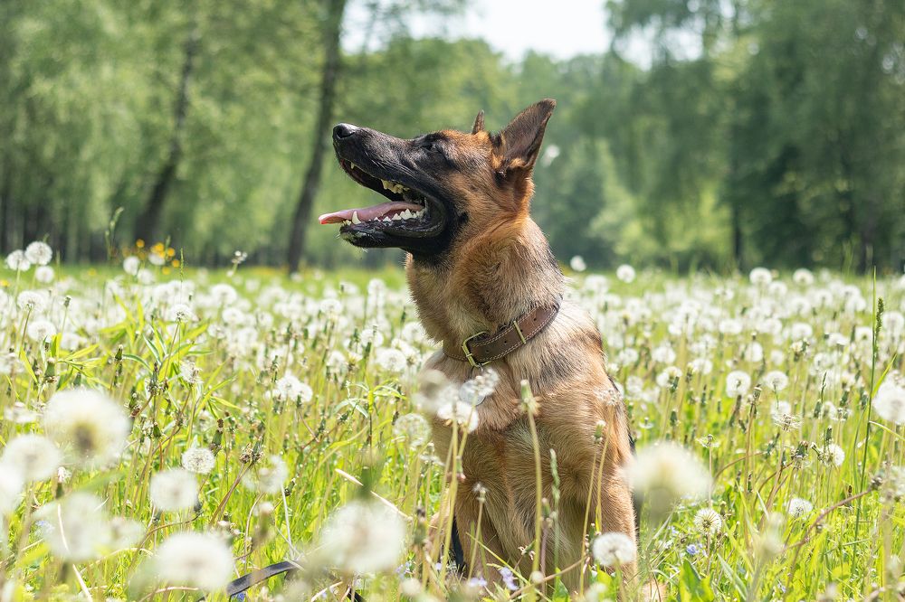 Photograph by Любовь Головина