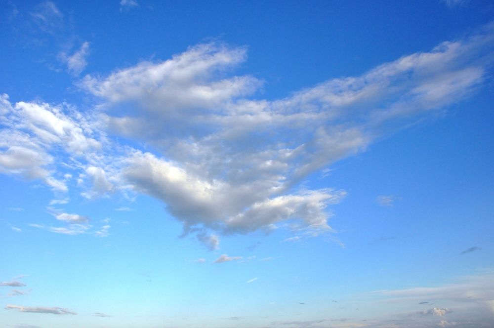 Облако-птица