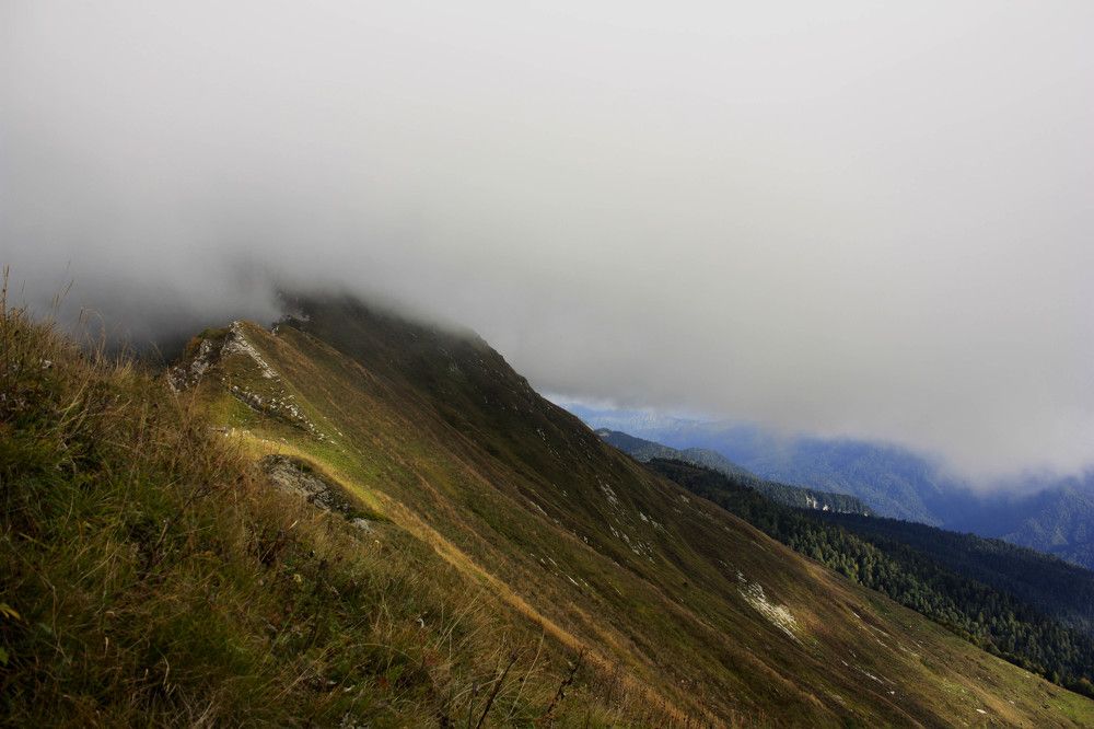 Photograph by Елена Ильина