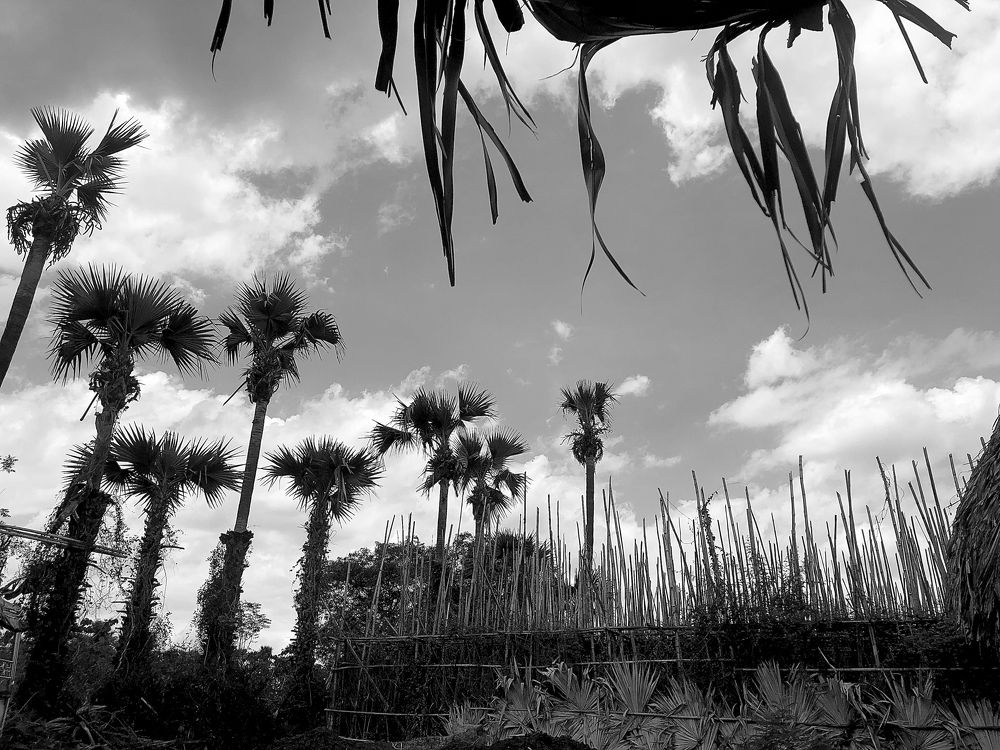 Photograph by Yu Hnin