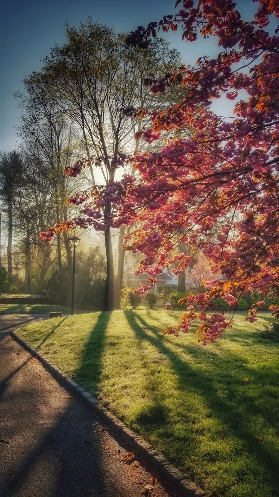 Photograph by Lev Svichar