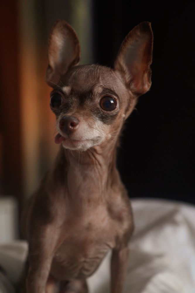 Photograph by Екатерина Слепнева