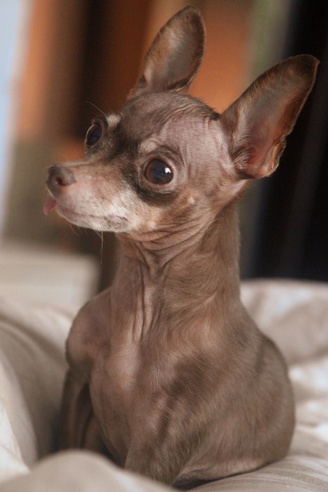 Photograph by Екатерина Слепнева