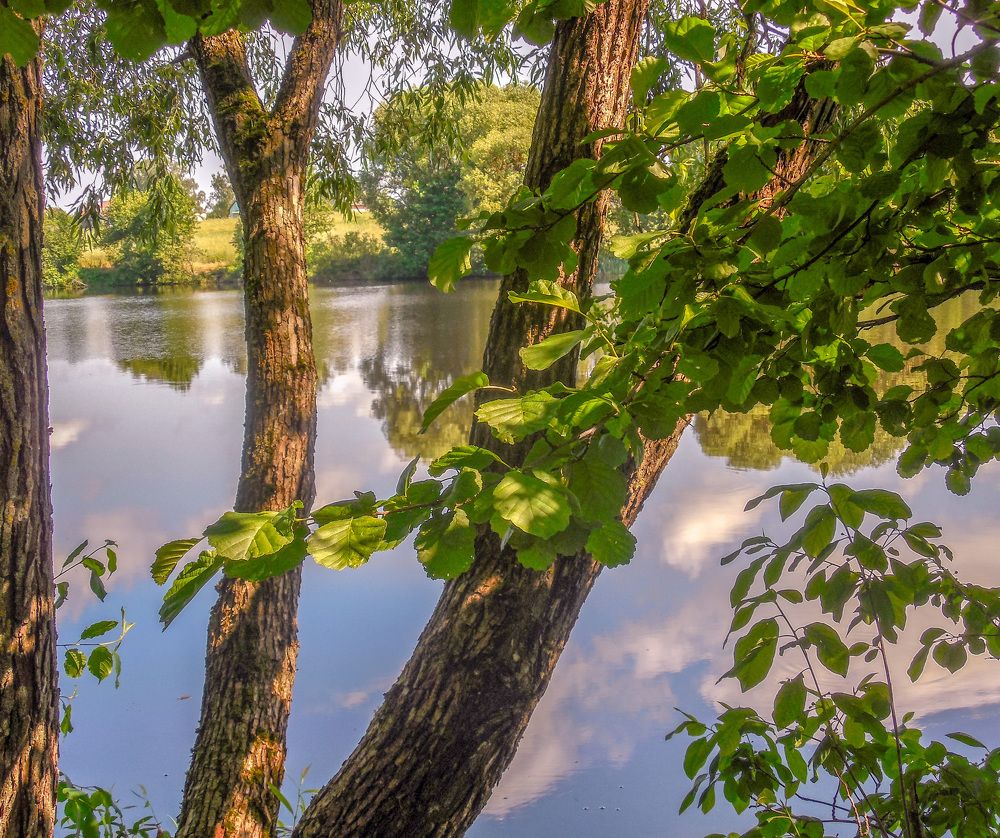 Фотография автора Valiantsina Sivakova