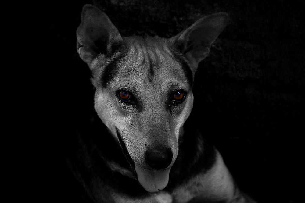 Eye to Eye!