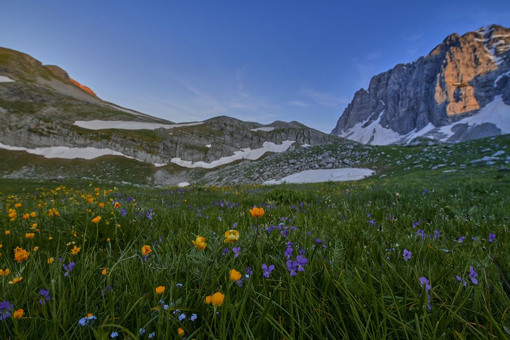 Фотография автора одисей германович
