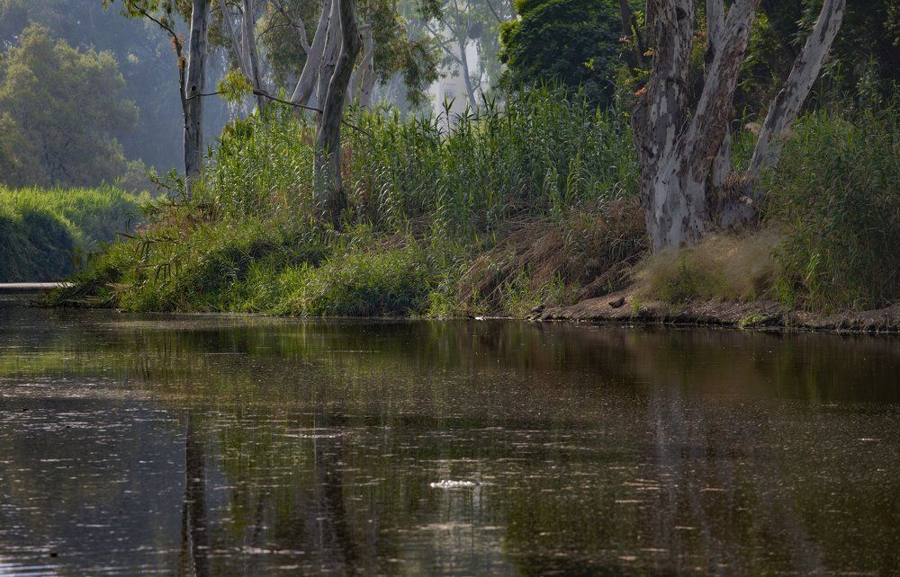 Photograph by Leonid Lan