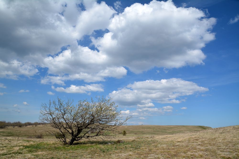 Photograph by Екатерина Крючкова