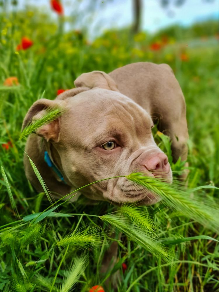 Photograph by Лариса Когтева