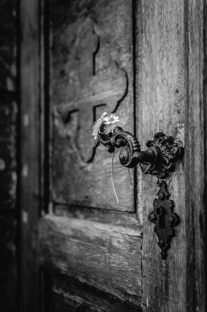 Photograph by Petar Mitrovic