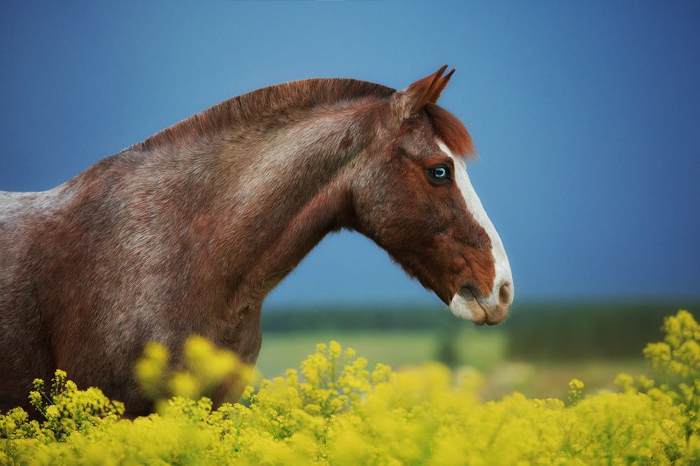 Photograph by Дарья Ералева