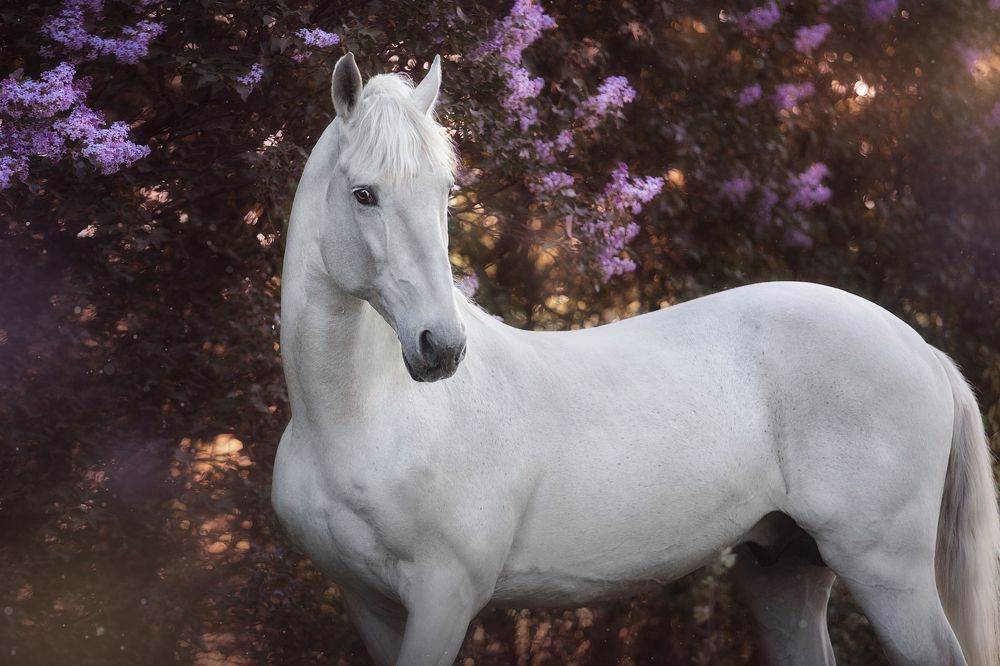 Photograph by Дарья Ералева