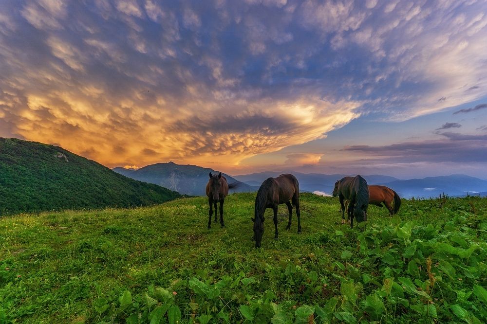 Photograph by Сергей Васин