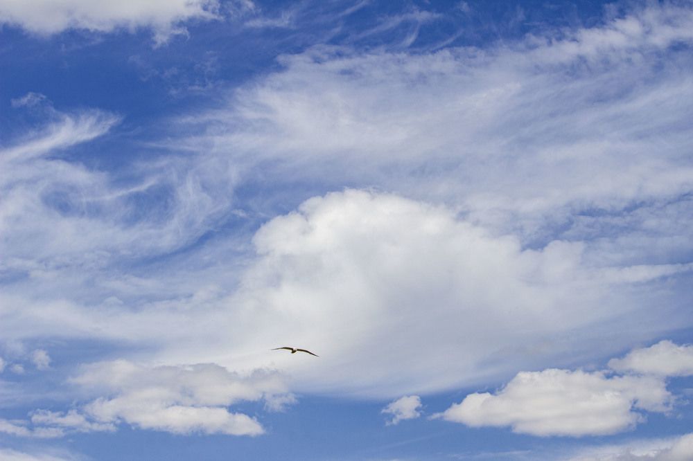 Photograph by Александра Шайдурова