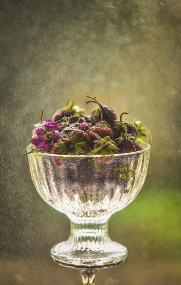 Photograph by Ксения Помогаева